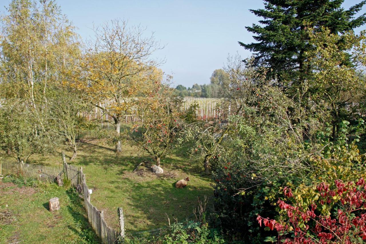 Hof Van Loverrijk Bed and Breakfast Lier Esterno foto