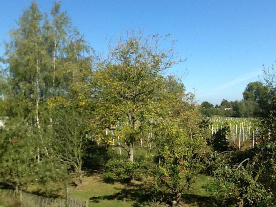 Hof Van Loverrijk Bed and Breakfast Lier Esterno foto
