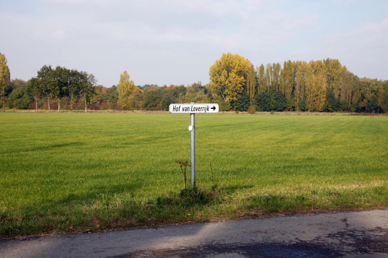 Hof Van Loverrijk Bed and Breakfast Lier Esterno foto